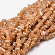 Natural Sunstone Chip Beads Strands, 5~14x4~10mm, Hole: 1mm, about 15.5 inch~16.1 inch(G-E271-87)