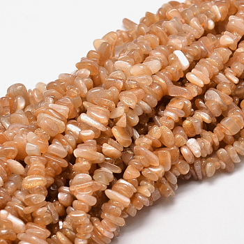 Natural Sunstone Chip Beads Strands, 5~14x4~10mm, Hole: 1mm, about 15.5 inch~16.1 inch