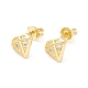 Clear Cubic Zirconia Diamond Stud Earrings(EJEW-P196-18G)-1