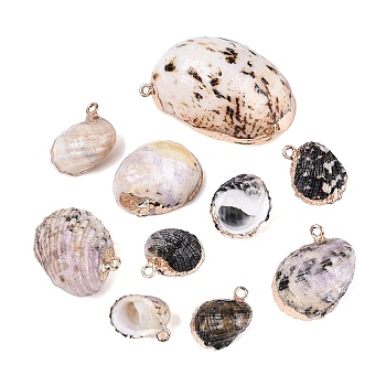 Electroplate Natural Spiral Shell Pendants, Conch Shell Charms with Golden Tone Iron Loops & Brass Edge Findings, Seashell Color, 15~38x10~22x6.5~18mm, Hole: 1.4~1.8mm