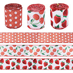3 Rolls 3 Style Polyester Ribbon, for Gift Decoration, Mixed Shapes, 2-1/2 inch(62mm), about 5.00 Yards(4.57m)/Set(OCOR-TA0003-61)
