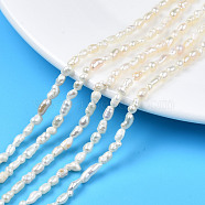 Natural Cultured Freshwater Pearl Beads Strands, Rice, Seashell Color, 2.5~8x2.5~3.5mm, Hole: 0.6mm, about 69~75pcs/strand, 13.98 inch~14.17 inch(35.5cm~36cm)(X-PEAR-N012-02F)