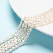 Natural Cultured Freshwater Pearl Strands, Idea for Mother's Day Gift, Rice Beads, White, 5.6~7x4~5mm, Hole: 0.8mm, about 27pcs/strand, 7.1 inch(18cm) long(A23WM011-01)