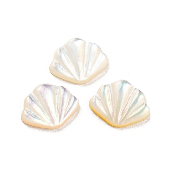 Natural Sea Shell Cabochons, Shell Shape, White, 7x8.5x2mm