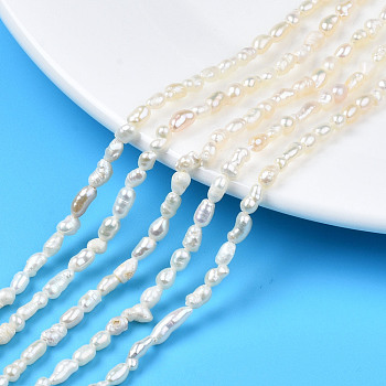 Natural Cultured Freshwater Pearl Beads Strands, Rice, Seashell Color, 2.5~8x2.5~3.5mm, Hole: 0.6mm, about 69~75pcs/strand, 13.98 inch~14.17 inch(35.5cm~36cm)