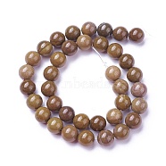 Natural Gemstone Beads Strands, Round, 10mm, Hole: 1mm, about 38pcs/strand, 15.5 inch(39.5cm)(G-P424-D-10mm)