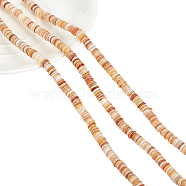 3 Strands Natural Shell Beads Strands, Disc, Antique White, 4.9~6x0.4~6mm, Hole: 1.4mm,  about 15.94 inch~16.14 inch(40.5~41cm)(SSHEL-NB0001-44B)