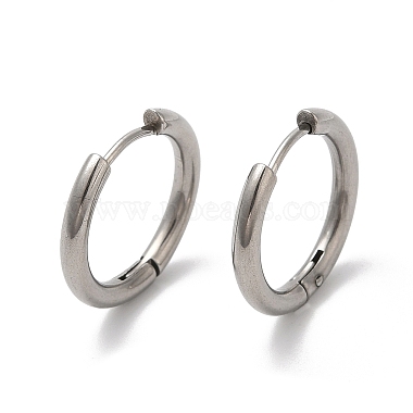 304 Stainless Steel Earrings