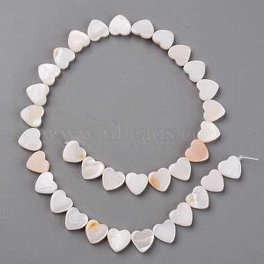 Natural Freshwater Shell Beads Strands(X-SHEL-R144-25)-2
