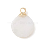 Natural Freshwater Shell Flat Round Charms with Brass Bails, Golden, White, 12x9x3mm, Hole: 1.5mm(PALLOY-JF04893)