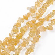 Natural Citrine Beads Strands, Dyed, Chip, 2.5~6.5x6.5~11.5mm, Hole: 0.8mm, about 31.34 inch(79.6cm)(G-L555-06)