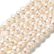 Natural Cultured Freshwater Pearl Beads Strands, Two Sides Polished, Grade 3A, PapayaWhip, 7~7.5x7~7.5x6~7mm, Hole: 0.5mm, about 49pcs/strand, 12.80~12.99 inch(32.5~33cm)(PEAR-E017-05)