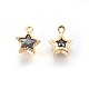 Golden Tone Brass Micro Pave Cubic Zirconia Charms(ZIRC-L075-13A-G)-2