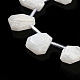Natural Rainbow Moonstone Beads Strands(G-Z040-A06-01)-5