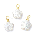 Natural Baroque Keshi Pearl Pendants, PlumBossom Flower Charms with Brass Findings, White, Golden, 14.5~16x12~13x3.5~4mm, Hole: 3.5mm(PALLOY-JF05630)