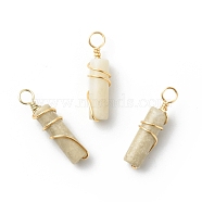 Natural Petrified Wood Pendants, with Golden Tone Copper Wire Wrapped, Column Charm, 18.5~20x5~5.5mm, Hole: 2.5mm(PALLOY-JF01817-09)