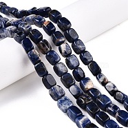 Natural Sodalite Beads Strands, Cuboid, 7.5~13x6.5~12.5x 6~11.5mm, Hole: 1.2mm, about 33pcs/strand, 13.98~15.6''(35.5~39cm)(G-T138-107)