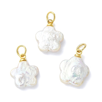 Natural Baroque Keshi Pearl Pendants, PlumBossom Flower Charms with Brass Findings, White, Golden, 14.5~16x12~13x3.5~4mm, Hole: 3.5mm