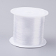 Fishing Thread Nylon Wire(NWIR-G015-0.3mm-01)-1