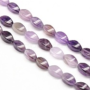 Natural Twist Amethyst Beads Strands, 12x6x6mm, Hole: 1mm, about 33pcs/strand, 15.74 inch(G-L243B-03)