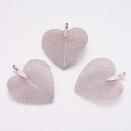 Natural Leaf Pendants, with Brass Findings, Heart, Antique White, 45~48x40~41x0.6mm, Hole: 3x6mm(KK-F747-A05)