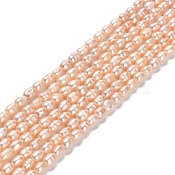 Natural Cultured Freshwater Pearl Beads Strands, Rice, Grade A+, PeachPuff, 3~3.5x4.5~5.5mm, Hole: 0.5mm, about 70~71pcs/strand, 13.78''(35cm)(PEAR-E016-147)