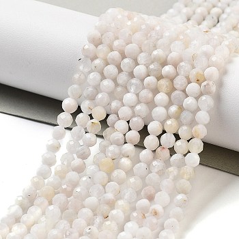 Natural Rainbow Moonstone Beads Strands, Faceted, Round, 4mm, Hole: 0.8mm, about 92~95pcs/strand, 14.96~15.16''(38cm)