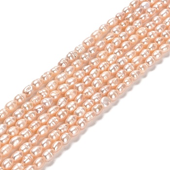 Natural Cultured Freshwater Pearl Beads Strands, Rice, Grade A+, PeachPuff, 3~3.5x4.5~5.5mm, Hole: 0.5mm, about 70~71pcs/strand, 13.78''(35cm)