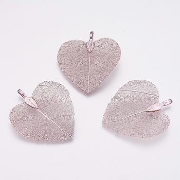 Natural Leaf Pendants, with Brass Findings, Heart, Antique White, 45~48x40~41x0.6mm, Hole: 3x6mm