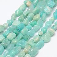 Natural Amazonite Beads Strands, Tumbled Stone, Nuggets, 6~8x4~6mm, Hole: 1mm, 15.3 inch(39cm)(G-F521-25)