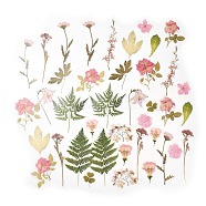 40Pcs Plant PET Adhesive Waterproof Stickers, Flower Leaf Decals, for DIY Photo Album Diary Scrapbook Decoration, Pink, 34~123x25~65x0.1mm(DIY-K074-02C)