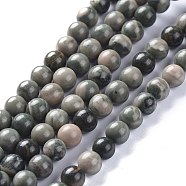 Natural Africa jade Beads Strands, Round, 6.5mm, Hole: 1mm, about 61pcs/Strand, 15.55 inch(39.5cm)(G-K416-07-6mm)