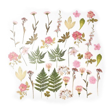 40Pcs Plant PET Adhesive Waterproof Stickers, Flower Leaf Decals, for DIY Photo Album Diary Scrapbook Decoration, Pink, 34~123x25~65x0.1mm