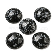Natural Snowflake Obsidian Cabochons, Flat Round, 20~21.5x6~8mm(G-C115-02A-14)