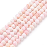 Natural Shell Beads, Faceted, Round, 4mm, Hole: 0.7mm, about 93~94pcs/strand, 15.35~15.55 inch(39~39.5cm)(SSHEL-G026-01B)