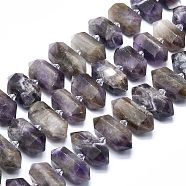 Natural Amethyst Beads Strands, Faceted, Double Terminated Pointed/Bullet, 20~31x12~14x10~13mm, Hole: 1.8mm, about 23~24pcs/strand, 15.55 inch(39.5cm)(G-F715-043)