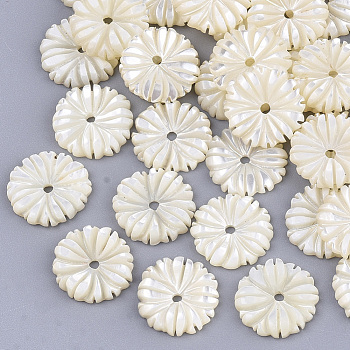 Natural White Shell Beads, Flower, Seashell Color, 10x2mm, Hole: 1mm