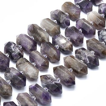 Natural Amethyst Beads Strands, Faceted, Double Terminated Pointed/Bullet, 20~31x12~14x10~13mm, Hole: 1.8mm, about 23~24pcs/strand, 15.55 inch(39.5cm)