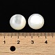Natural White Shell Cabochons(X-SSHEL-M022-01D)-3