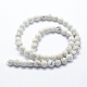 Natural Magnesite Beads Strands(X-G-I199-27-10mm)-2