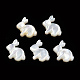 Natural White Shelll Beads(SSHEL-N032-60)-2