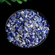 Natural Lapis Lazuli Chips Stone, Reiki Healing Stone for Home Fish Turtle Tank Decorations, 5~9mm, 100g/bag(PW-WG58121-01)