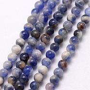Natural Sodalite Bead Strands, Round, 3~3.5mm, Hole: 0.7mm, about 115~125pcs/strand, 16 inch(G-K146-47-3mm)