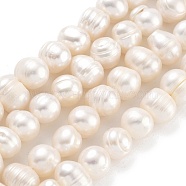 Natural Cultured Freshwater Pearl Beads Strands, Potato, Old Lace, 7~8mm, Hole: 0.6mm, about 26pcs/strand, 6.69 inch(17cm)(PEAR-C003-01C)