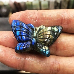 Dyed Natural Labradorite Carved Display Decorations, Figurine Home Decoration, Reiki Energy Stone for Healing, Butterfly, 50x30x10mm(PW-WG48232-04)