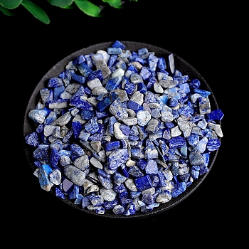 Natural Lapis Lazuli Chips Stone, Reiki Healing Stone for Home Fish Turtle Tank Decorations, 5~9mm, 100g/bag