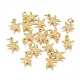 Electroplated Alloy Charms(X-PALLOY-G267-06G)-1