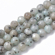 Natural Sesame Jasper/Kiwi Jasper Beads Strands, Round, 8mm, Hole: 1.5mm, about 50pcs/strand, 14.96 inch(G-S295-14-8mm)