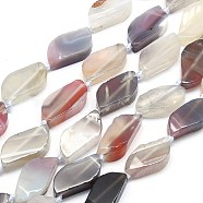 Natural Botswana Agate Beads Strands, Leaf, 21.5x10.5~11x5.5~6mm, Hole: 0.8~1mm, about 17~19pcs/strand, 14.96~16.14 inch(38~41cm)(G-G106-F02-01)