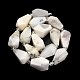 Natural White African Opal  Beads Strands(G-NH0005-B11-01)-4